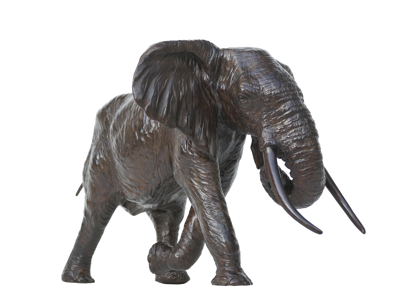 damien-colcombet-elephant-d-afrique-chargeant-trompe-enroulee-sculpture-bronze-4 Damien Colcombet Éléphant d'Afrique chargeant trompe enroulée bronze sculpture