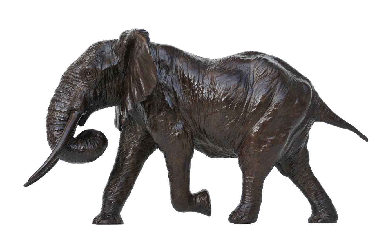 Damien Colcombet Éléphant d'Afrique chargeant trompe enroulée bronze sculpture