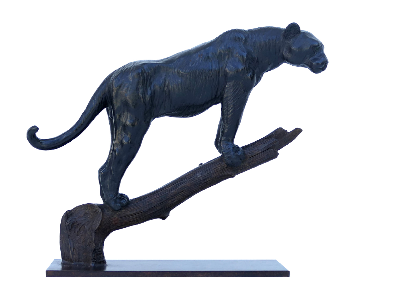 Damien Colcombet Panthère à l’affut sur une branche bronze sculpture