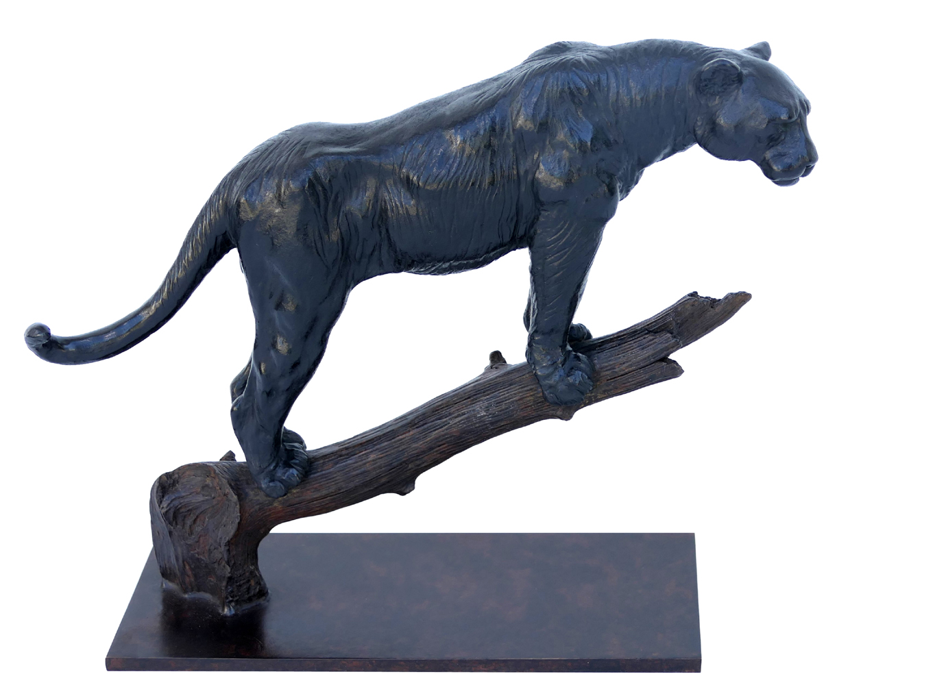 Damien Colcombet Panthère à l’affut sur une branche bronze sculpture