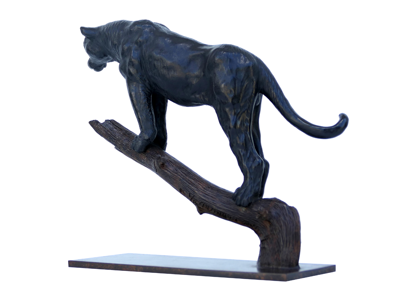 Damien Colcombet Panthère à l’affut sur une branche bronze sculpture
