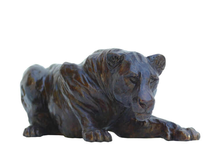 Damien Colcombet Petite Lionne couchée patte avant tendue sculpture animalière bronze
