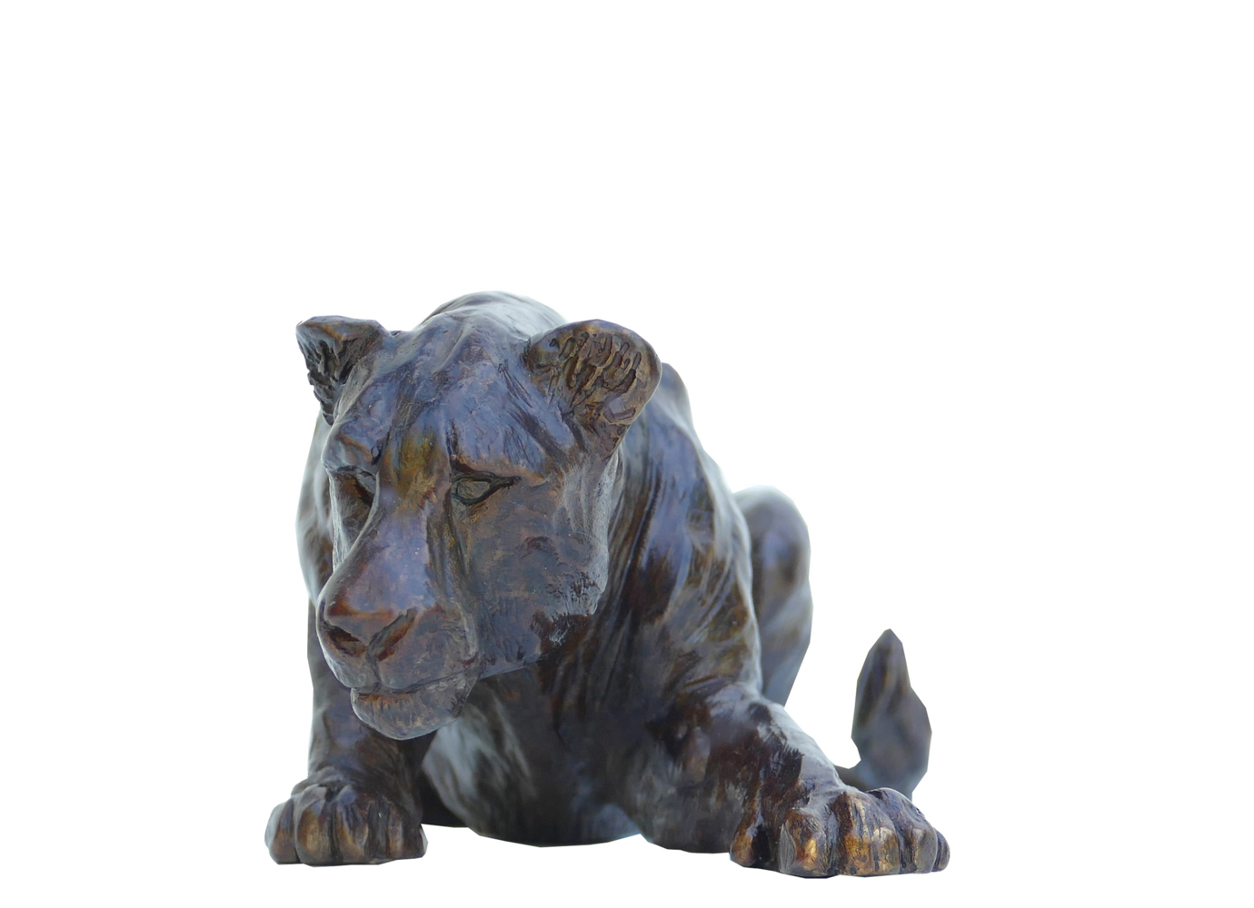 Damien Colcombet Petite Lionne couchée patte avant tendue sculpture animalière bronze