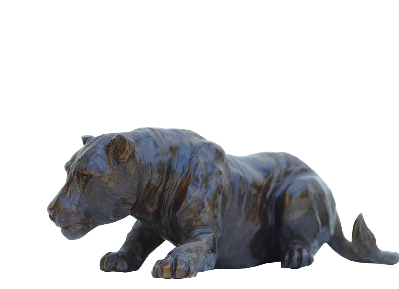 Damien Colcombet Petite Lionne couchée patte avant tendue sculpture animalière bronze