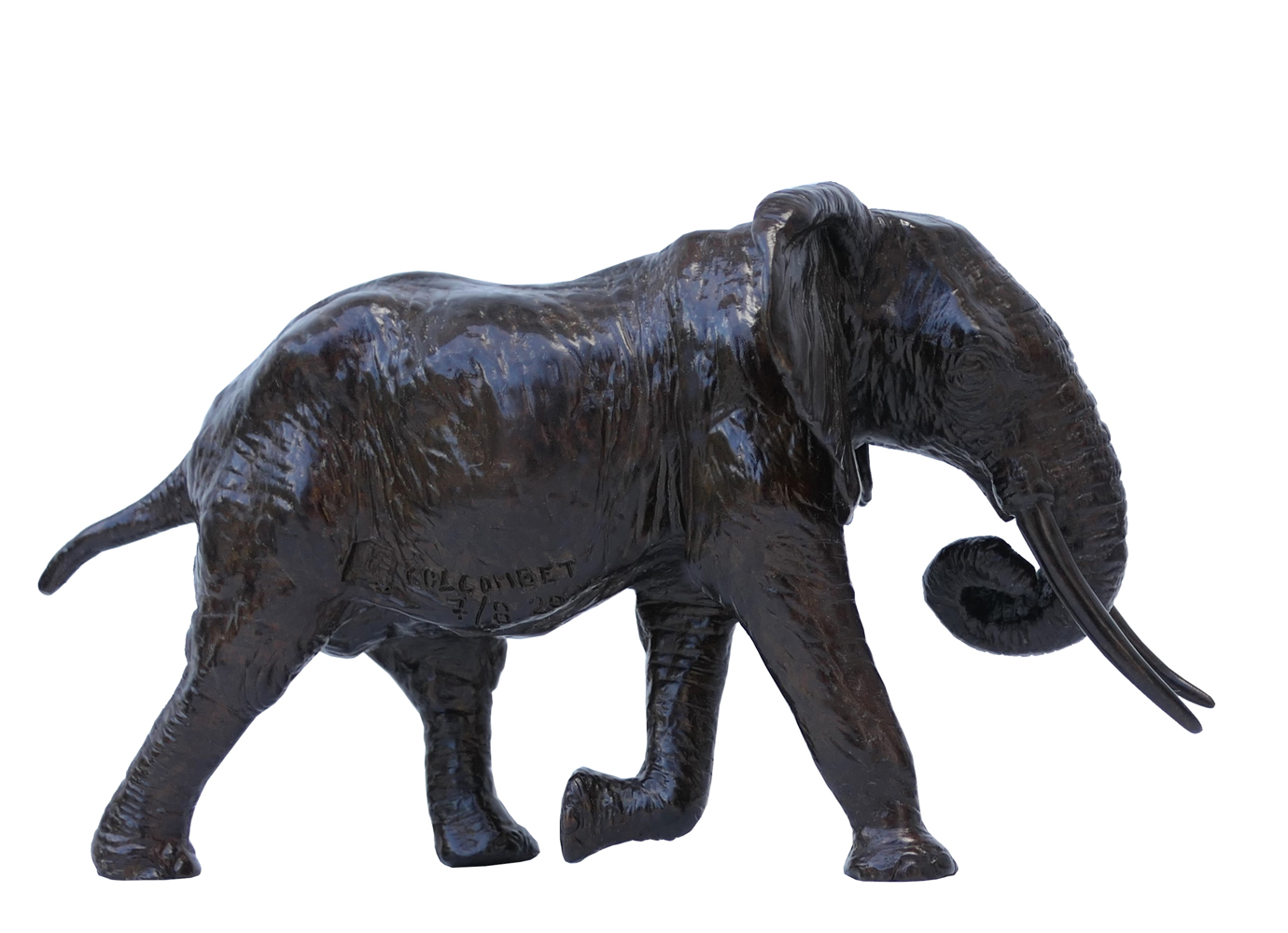 Damien Colcombet éléphant d'Afrique chargeant trompe enroulée réduction bronze sculpture