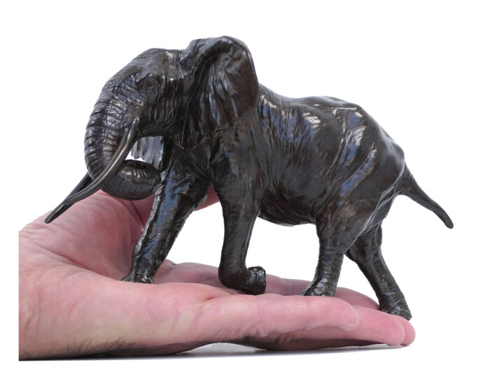 Damien Colcombet éléphant d'Afrique chargeant trompe enroulée réduction bronze sculpture