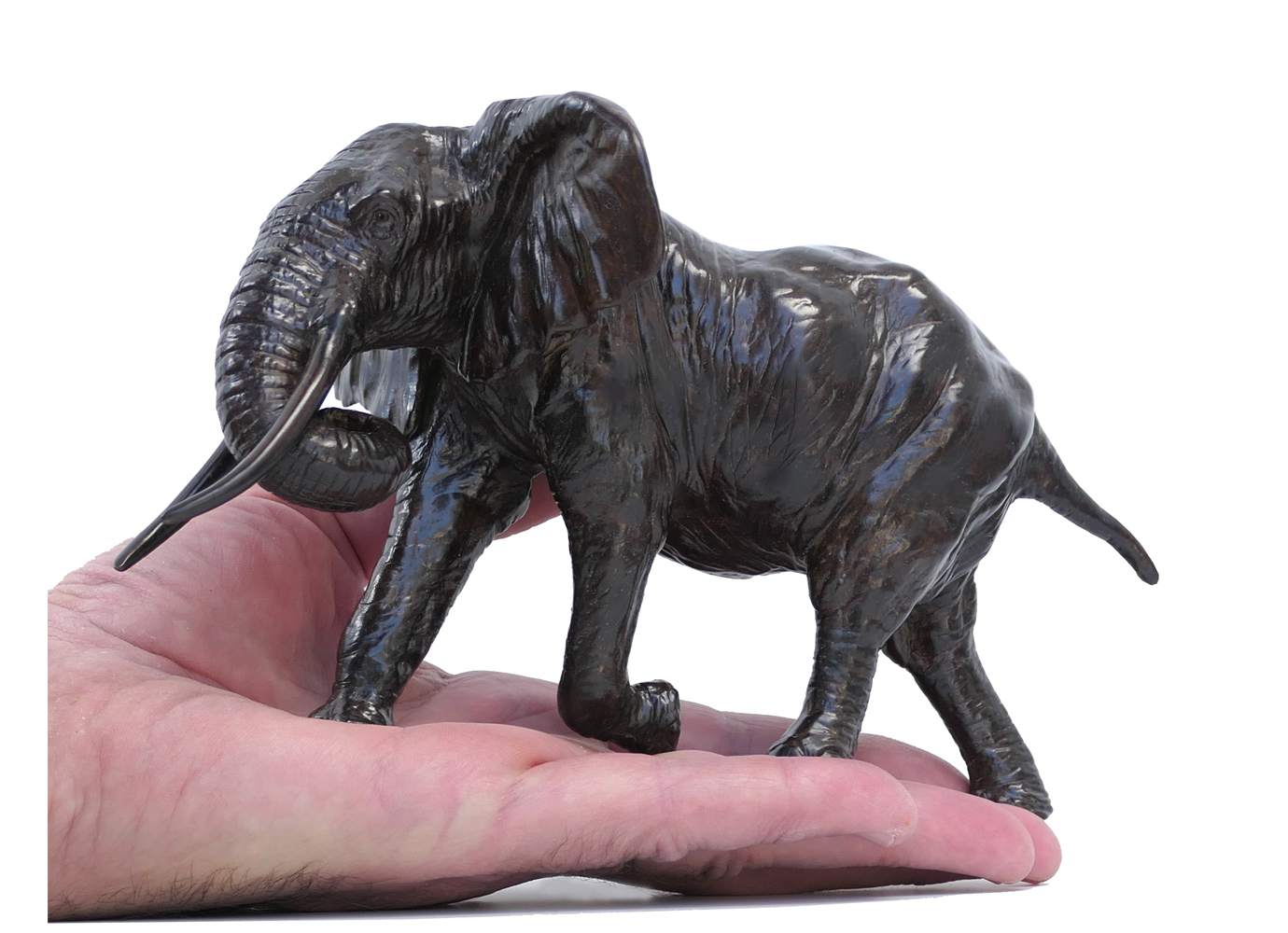 Damien Colcombet éléphant d'Afrique chargeant trompe enroulée réduction bronze sculpture