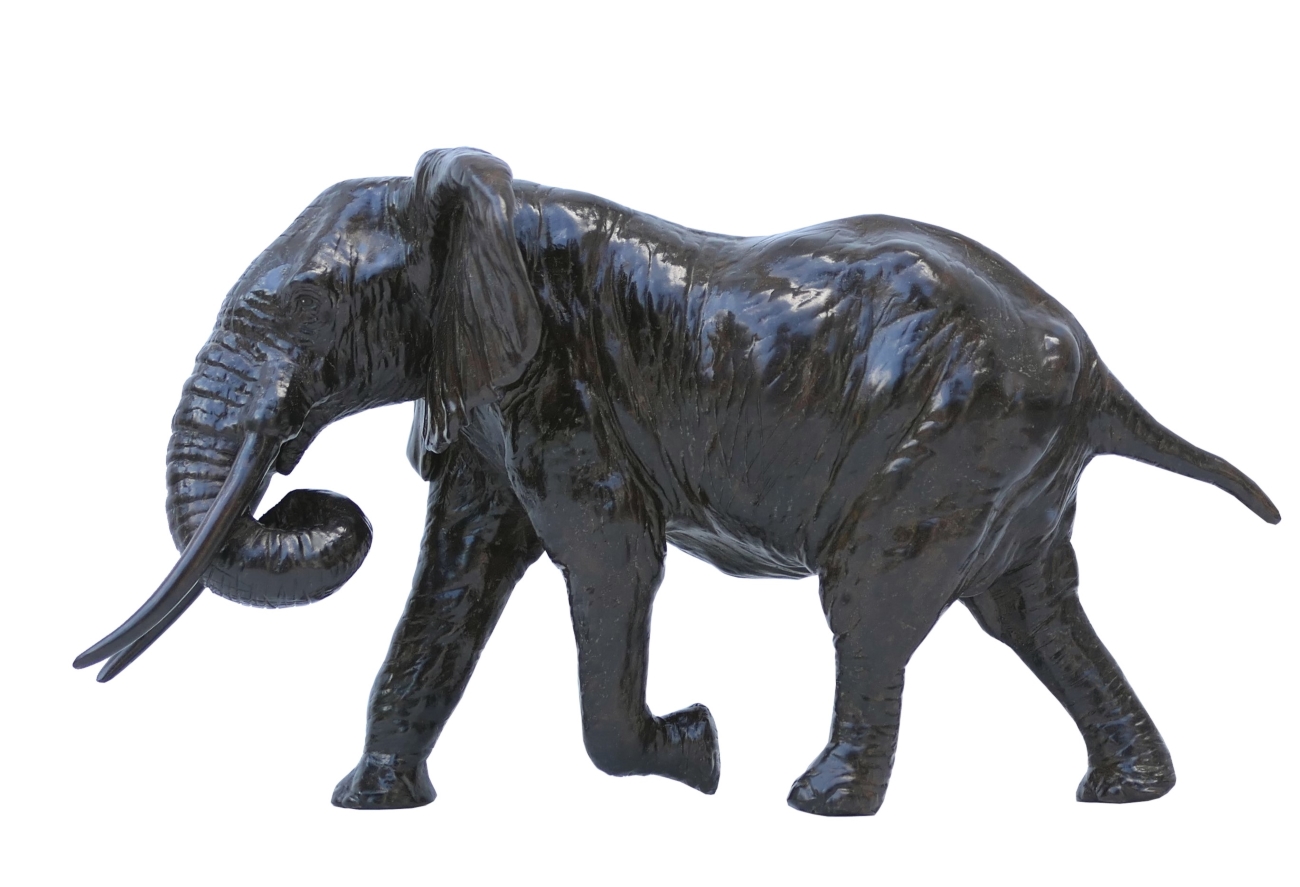 Damien Colcombet éléphant d'Afrique chargeant trompe enroulée réduction bronze sculpture