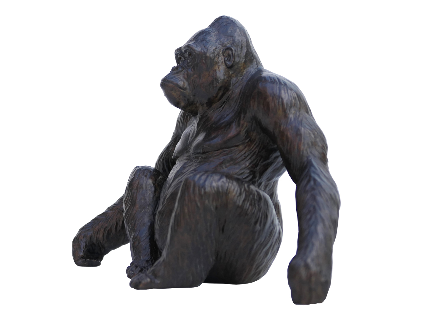 Damien Colcombet Gorille Diogène réduction bronze sculpture